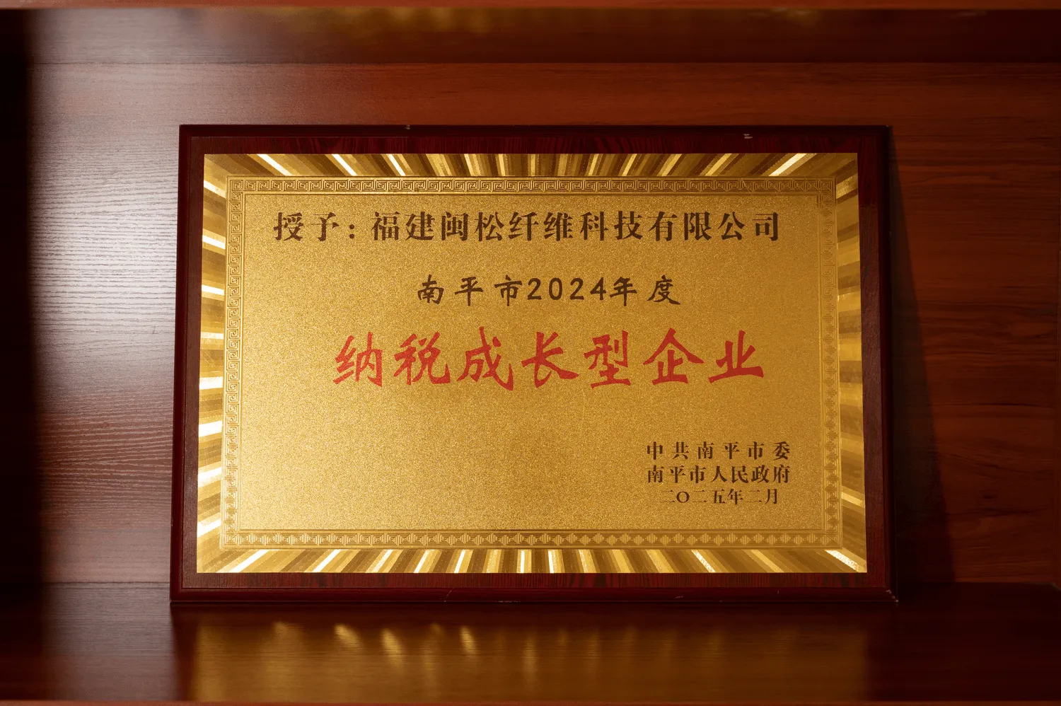 2024 Nanping City Outstanding Tax Contribution Enterprise